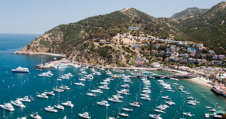 Catalina Island – A Day in Paradise Package with hotel transfers