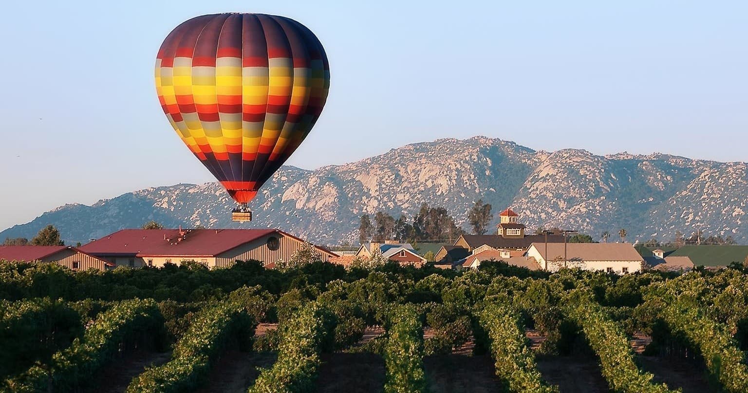 San Diego Wine & Vineyard Tours: Temecula Wine Tour