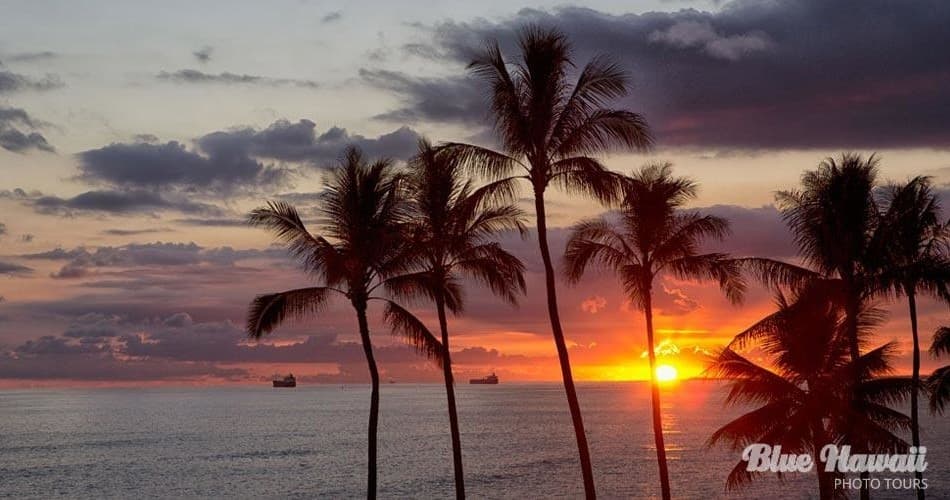 Sunset Tour