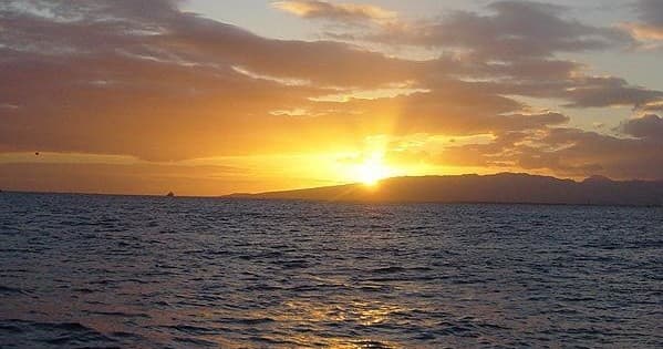 Mimosa Sunrise Cruise