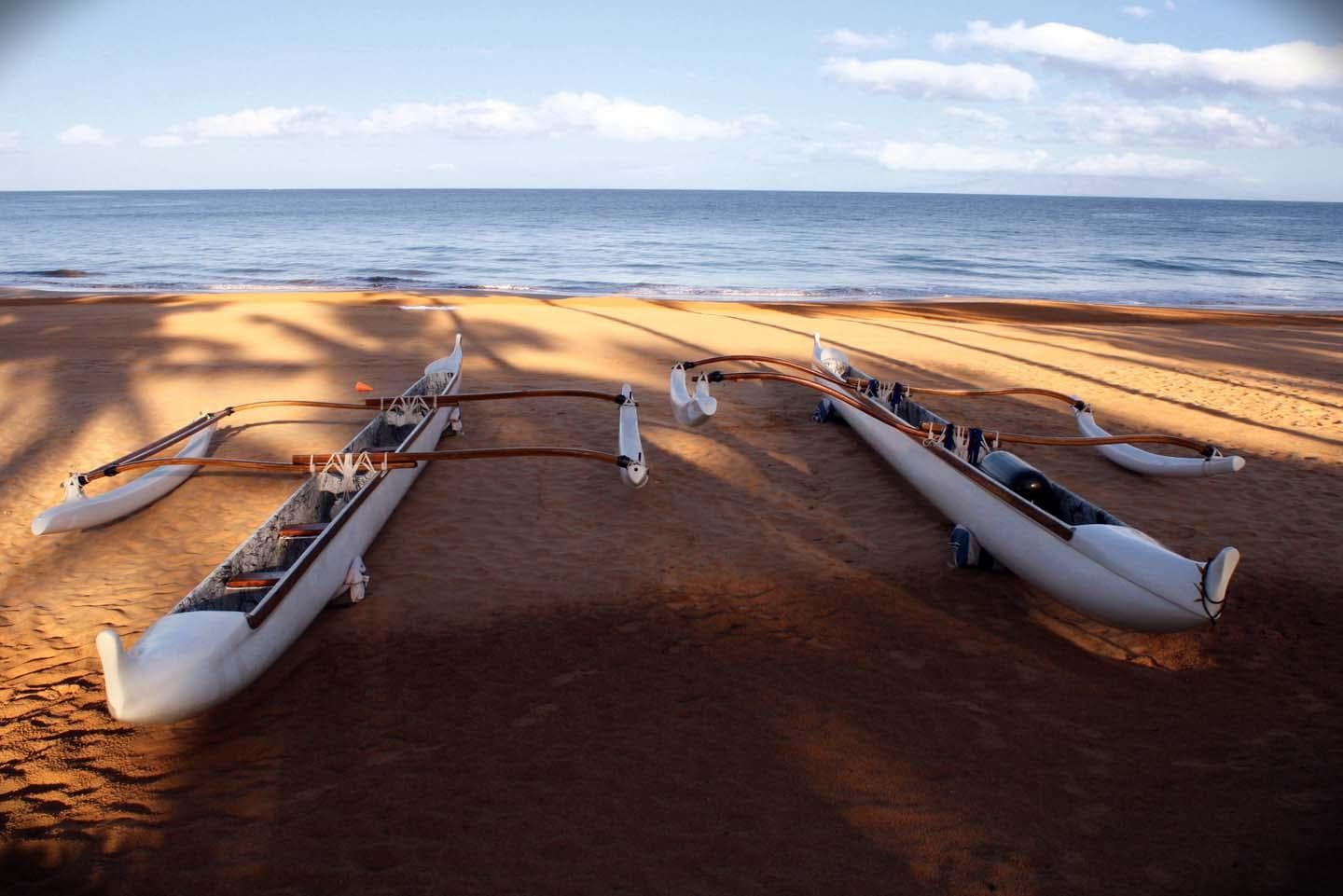 Hawaiian Outrigger Canoe Cultural and Turtle Tour